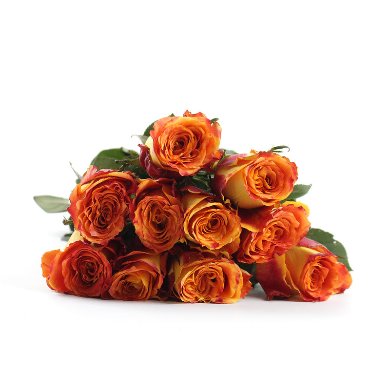 Roses Orange - Silantoi